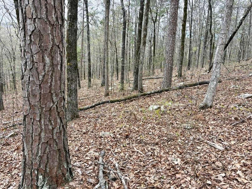 2F1C7FC1-A108-4FA9-8AEA-AC35B79AD263_1_201_a