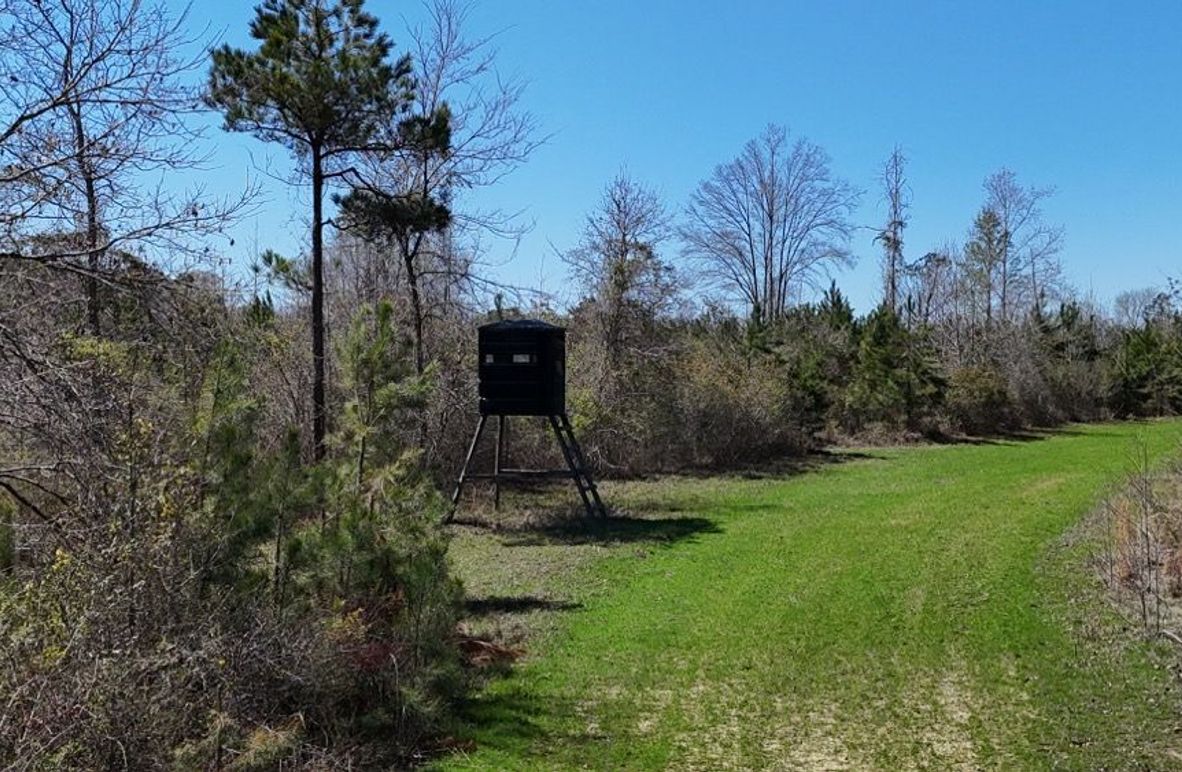 Copy of DJI_20260314020542_0120_D