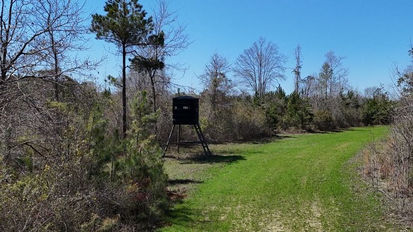 Copy of DJI_20260314020542_0120_D