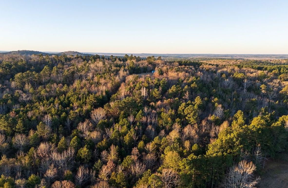 DJI_20260116074938_0004_D