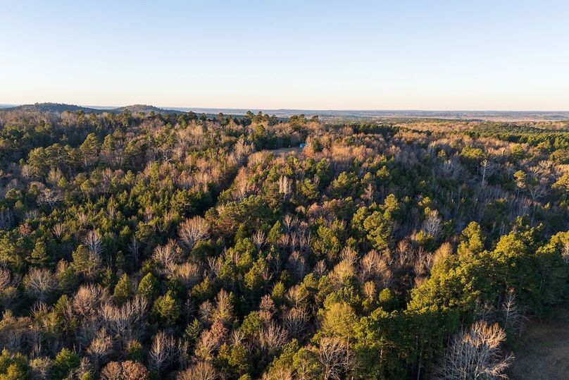 DJI_20260116074938_0004_D