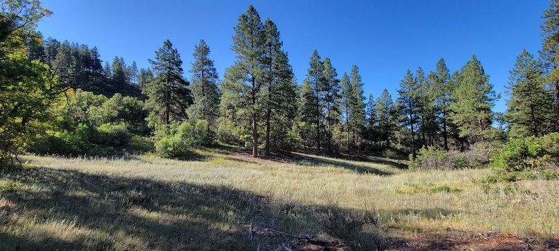 Copy of 20210827_090439