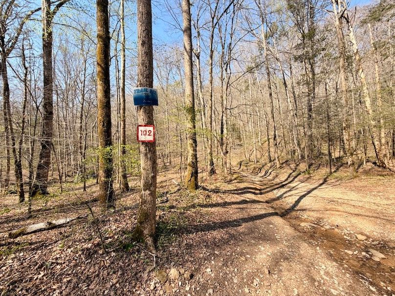 Scott Co TN 286 Keeton_036