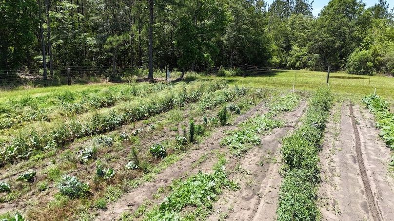 DJI_20240516125356_0041_D