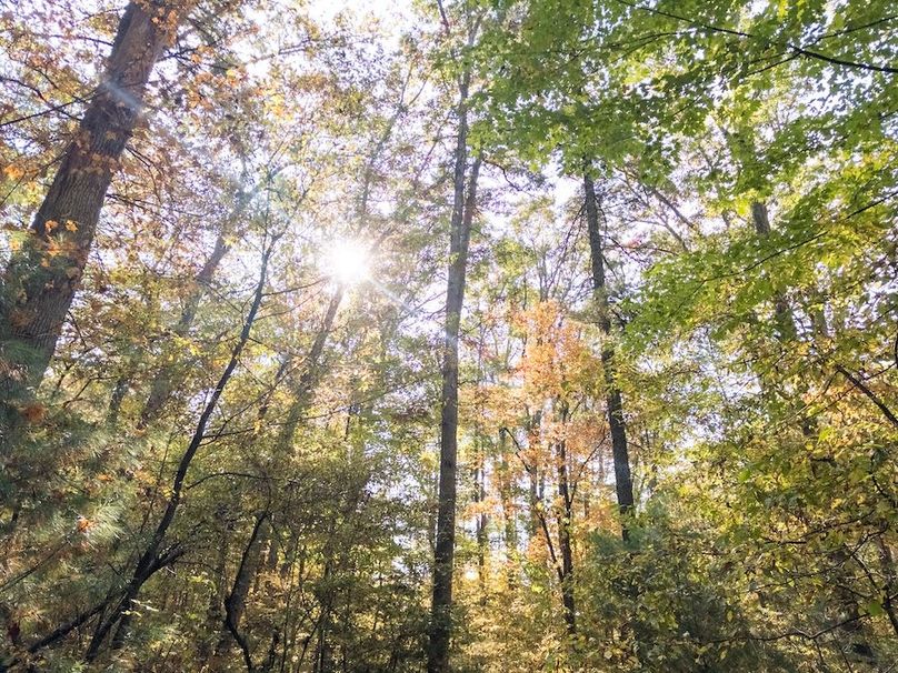 Copy of APC_5463-hdr (1)