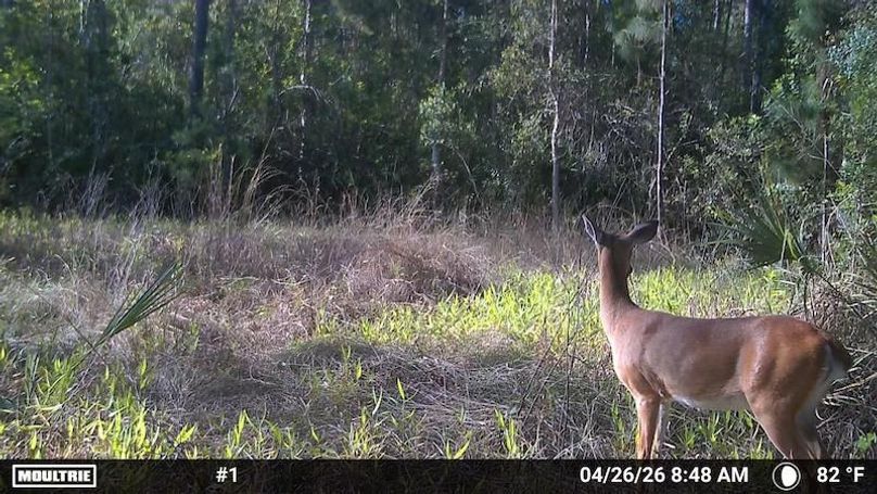 Temp_1250326-20260426124936-100MFCAM_MFDC2177