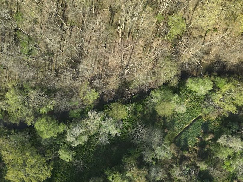 DJI_20250428082043_0016_V