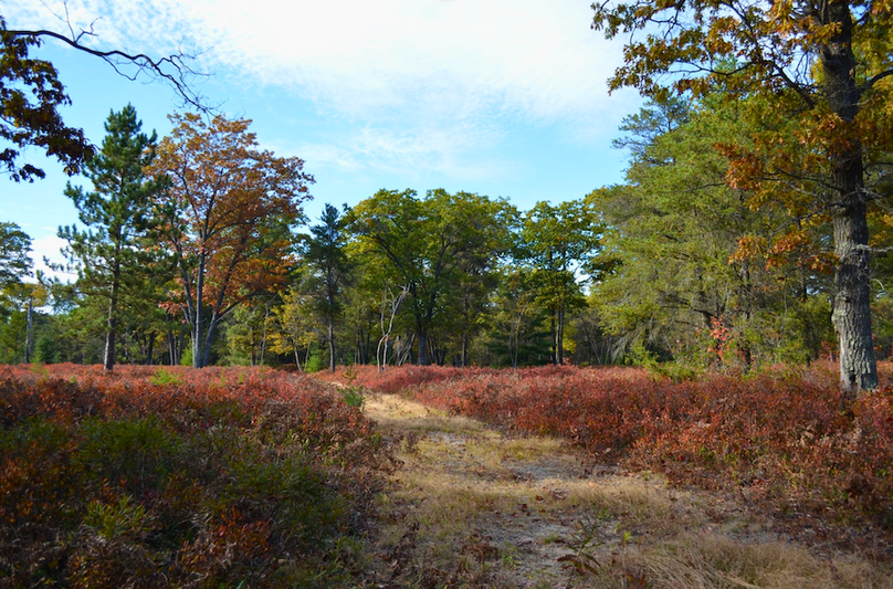 Screenshot 2025-11-14 at 11.32.01 AM