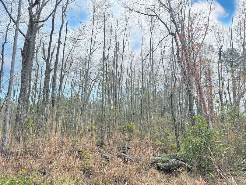 1384C5DD-A0FF-4656-99AB-31FF7DCEF4F7