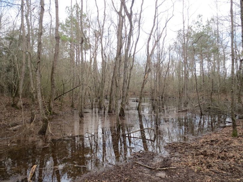 362FF79B-17B0-4275-BADD-70F03668BB48_1_105_c