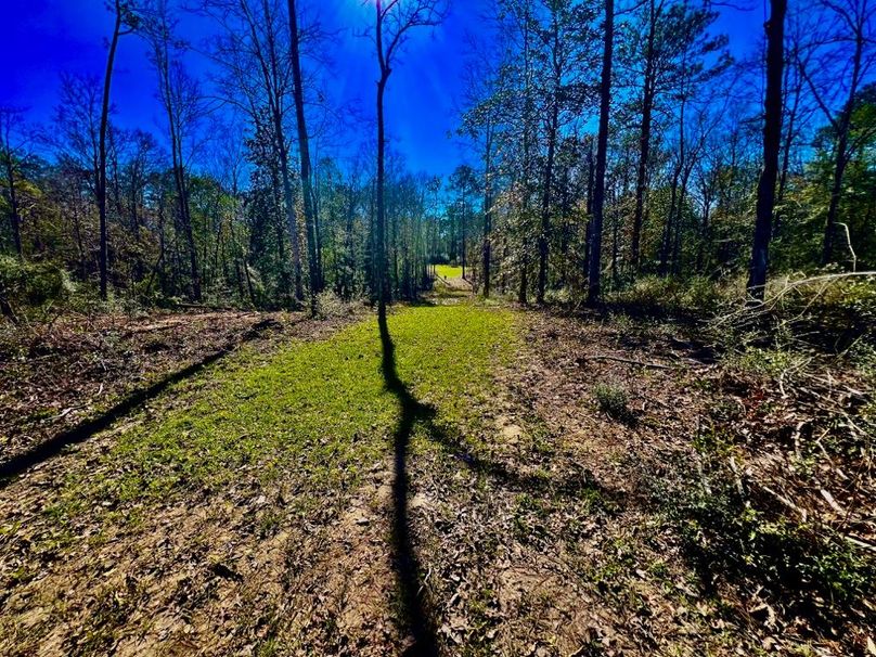 F9B37993-C8CB-443F-9302-31F4DB2EAACE_1_201_a