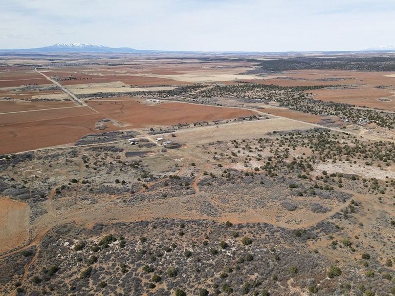 DJI_0866