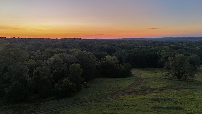 Hinds Co - 78 - Newman-26