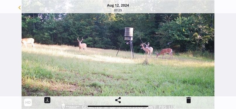 trailcam11