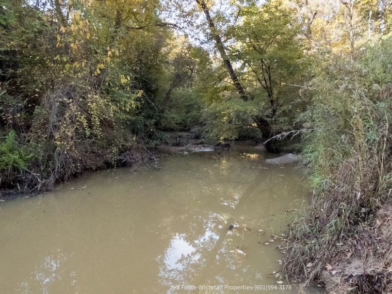 Claiborne Co-189-Geronimo-34