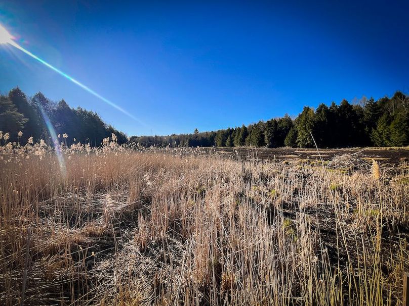 Oswego_17.88_Feld_Photos_56