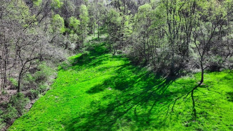 DJI_20250425040631_0433_D