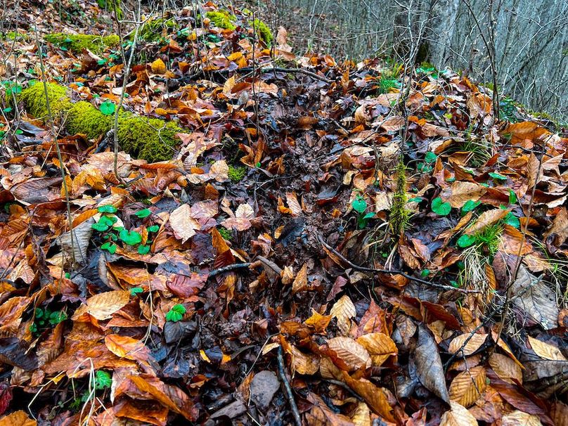 Calhoun, WV 225.69 AC Duffield-32