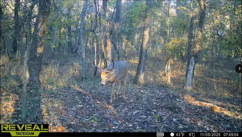 Screenshot_24-1-2026_83134_drive.google.com