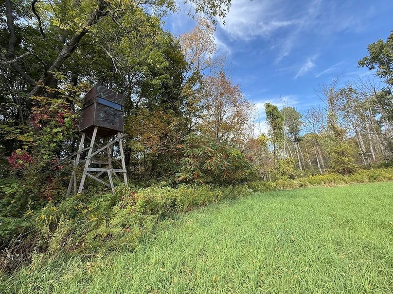 Cayuga_55.02_Herman Photo 33