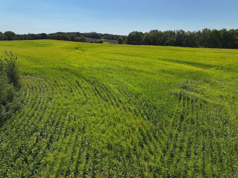 DJI_20240905104931_0072_D