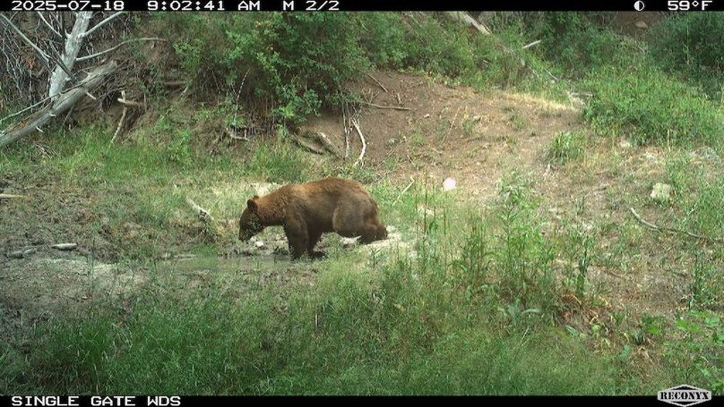 4915DB16-A3A1-440F-9F6C-4A8770B59C89