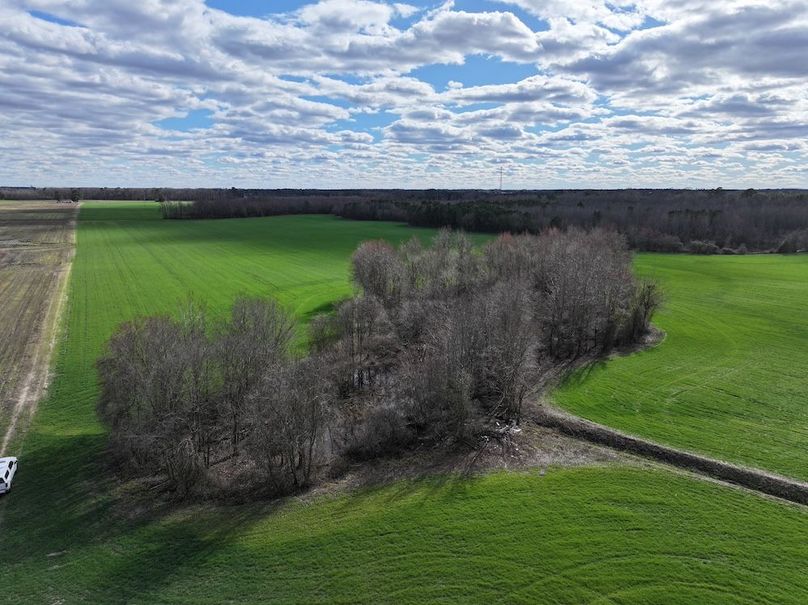 DJI_20250306150615_0003_D