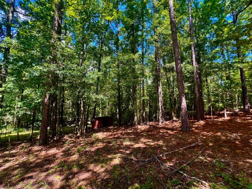 33AF5783-E699-4052-B582-101861C4A3BC_1_201_a