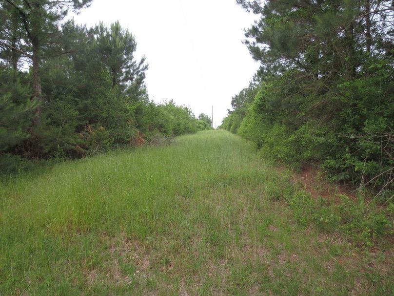 E2005F1F-2A7E-454A-BF22-8DC367EBF324_1_105_c