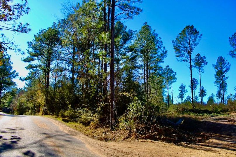 30CFA32A-C88F-4574-B181-A6C1662B2ED5_1_201_a