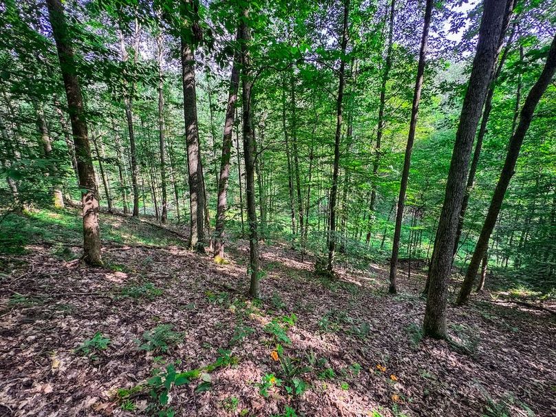 Lewis, WV 105 AC Miller-48