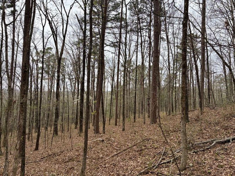 29344CE2-680E-4AEE-A2F6-A7776BDAC6E1_1_201_a