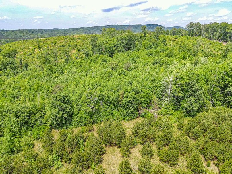 dji_fly_20250501_123428_470_1746117337384_photo