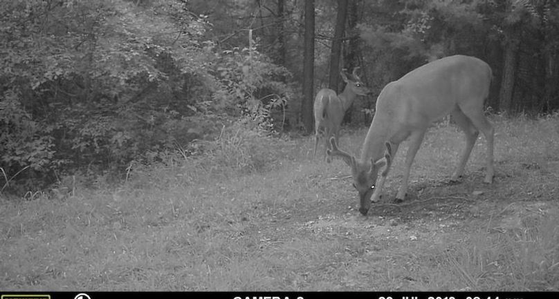 Photo Apr 20 2026, 4 33 27 PM