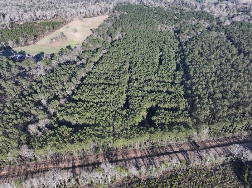 dji_fly_20260216_151824_0075_1771284236553_photo