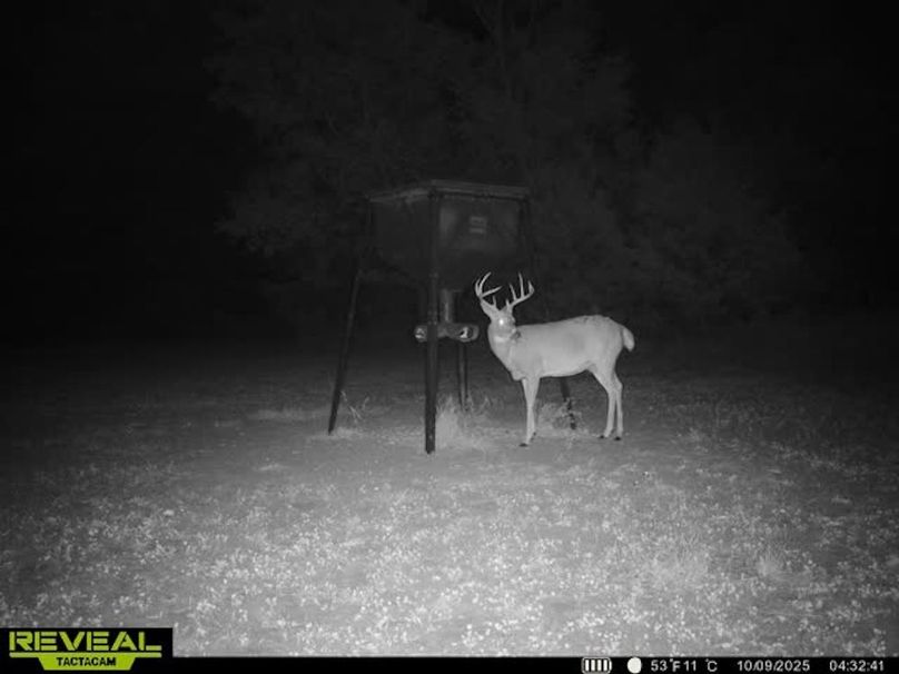 865509050100068-100-3-10092025043258-w1007043