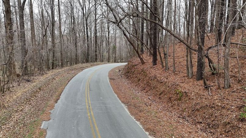 dji_fly_20260225_113932_0131_1772037649287_photo