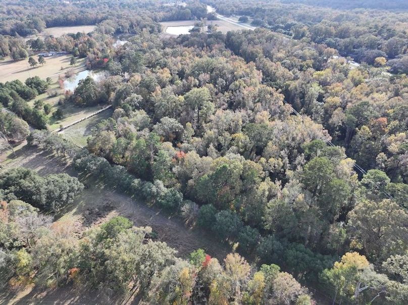 dji_fly_20251118_151112_0738_1763560715797_photo