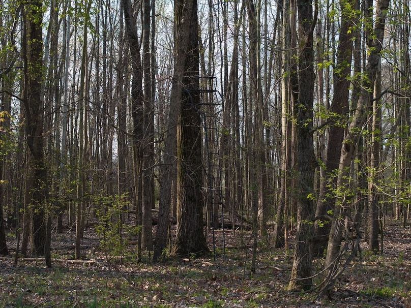 Gibson County Tract 2-17