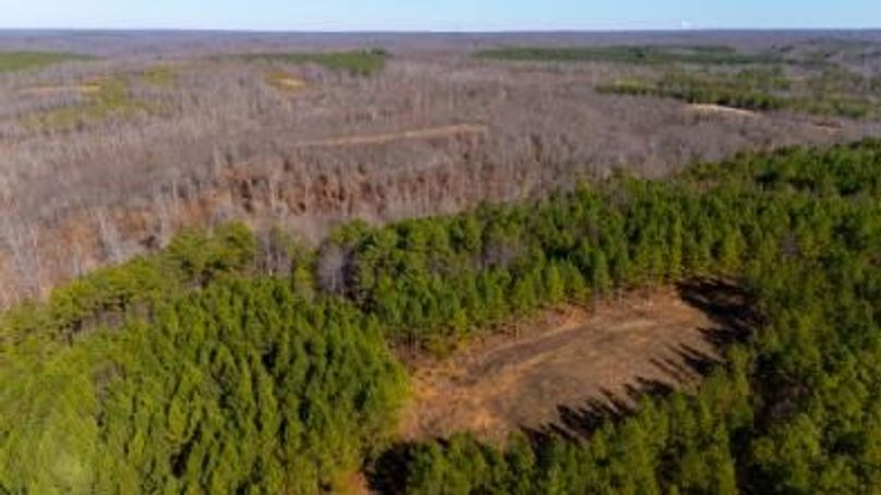 mckinnon tract 14-17