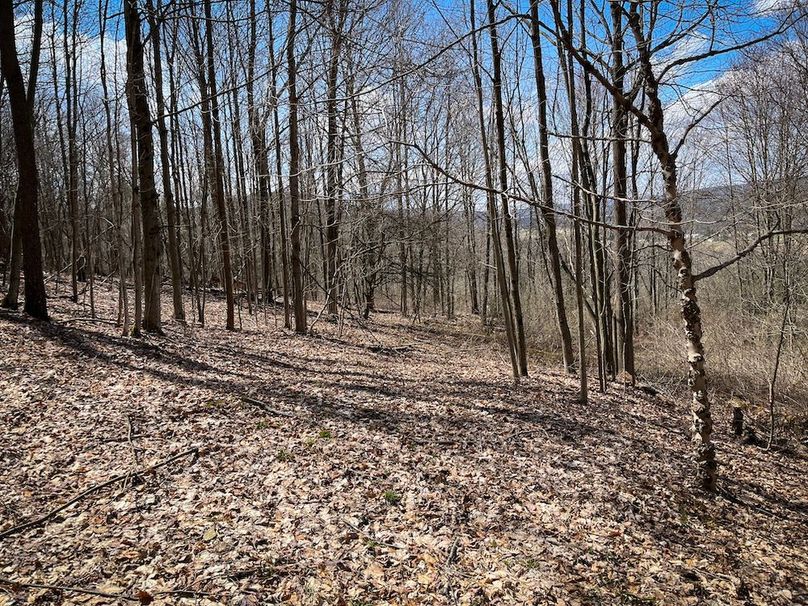 Tioga__NY_109.7_Burris_Photos_80