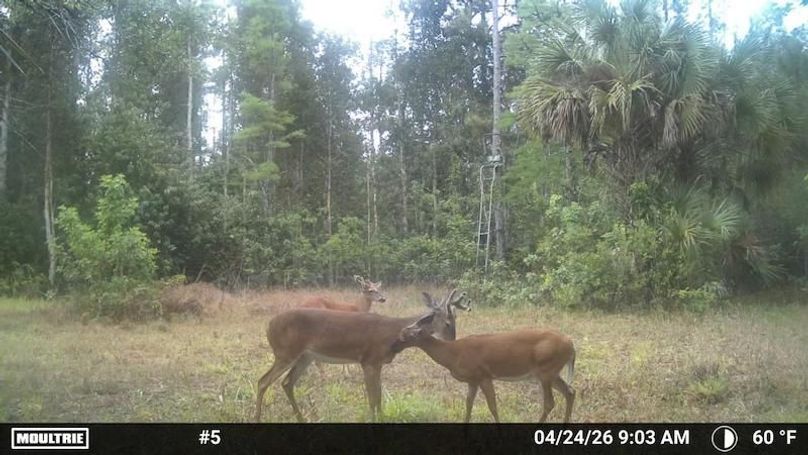 Temp_3170731-20260424130412-100MFCAM_MFDC1945