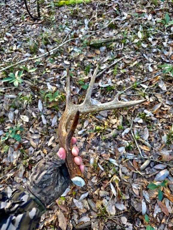 3200B22D-45CF-4DA4-A18F-7B6CA5ED5A56_1_105_c-2