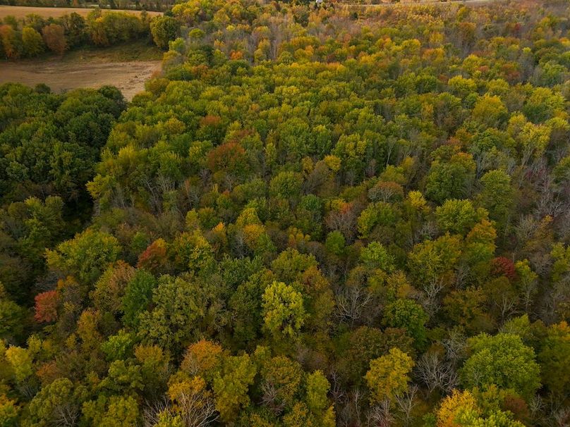 Wayne_29.09_BD_LandParcel_29