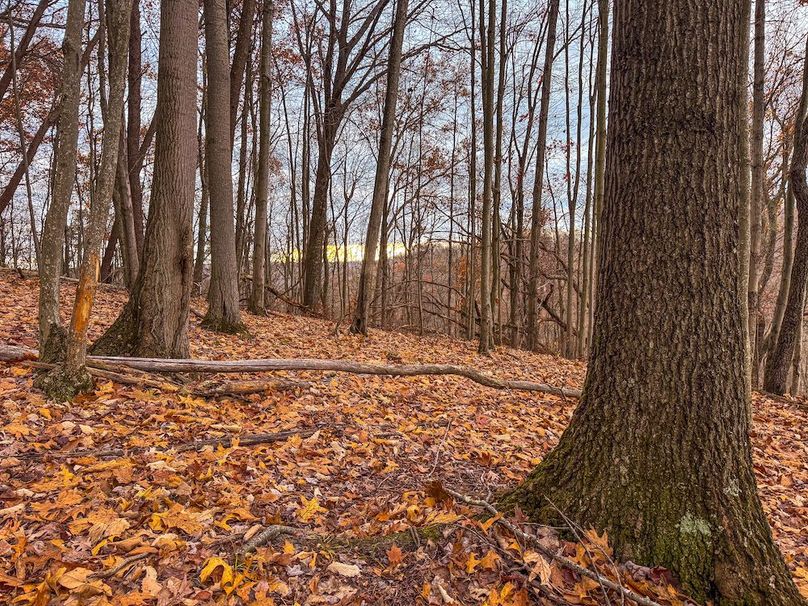 Ritchie, WV 14.081 AC Currey-31