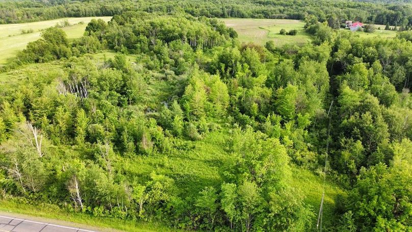 dji_fly_20240610_181534_376_1718061346955_photo_optimized