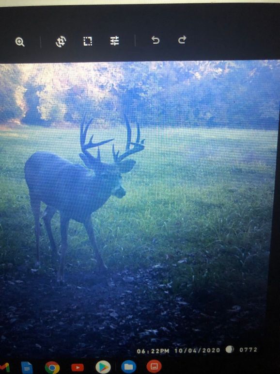 62563271229__50115705-29C5-4C6B-84DF-4327E34AF29D