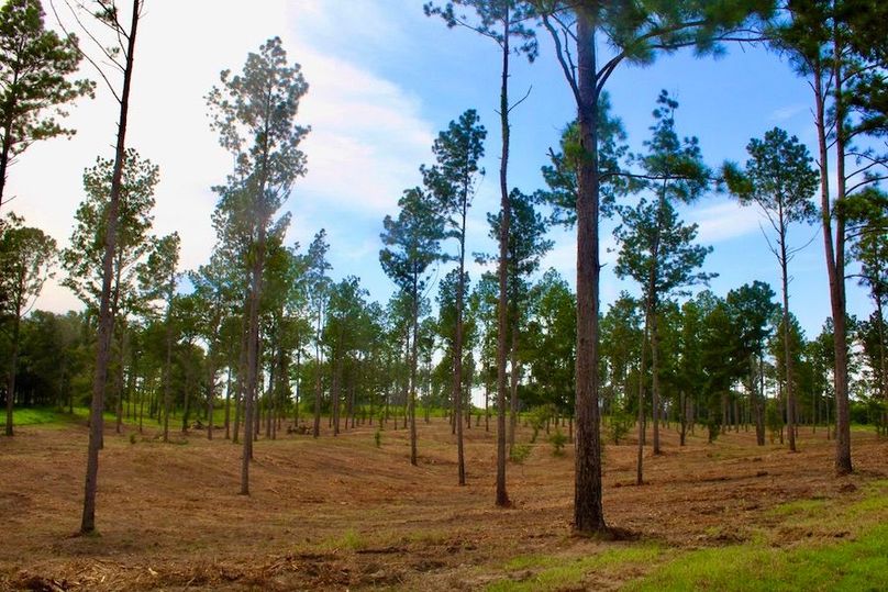 2727B44C-4946-41D9-9A81-16128A2811B9_1_105_c