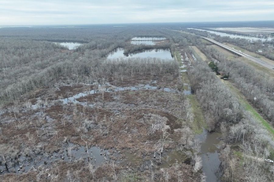 dji_fly_20250206_103528_974_1738862125110_photo