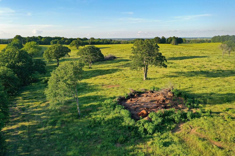 DJI_0546